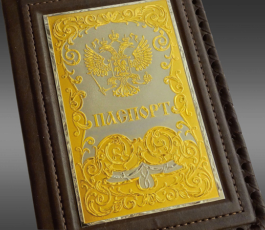 Обложка на паспорт №1